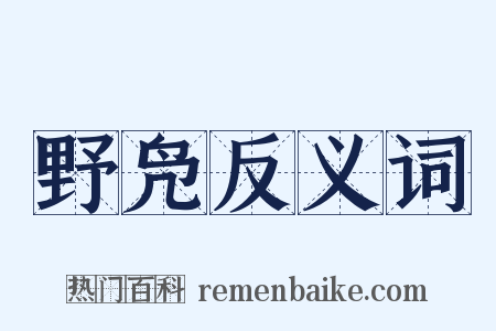 野凫反义词是什么意思的图片